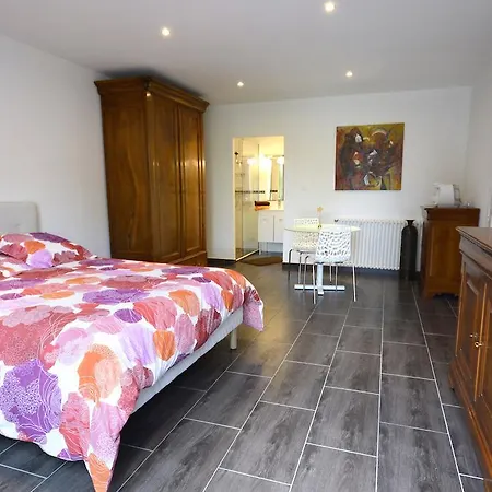 D'hotes Albigeoise Albi